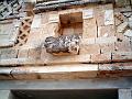 0704 uxmal 23
